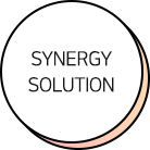 Synergy Solution